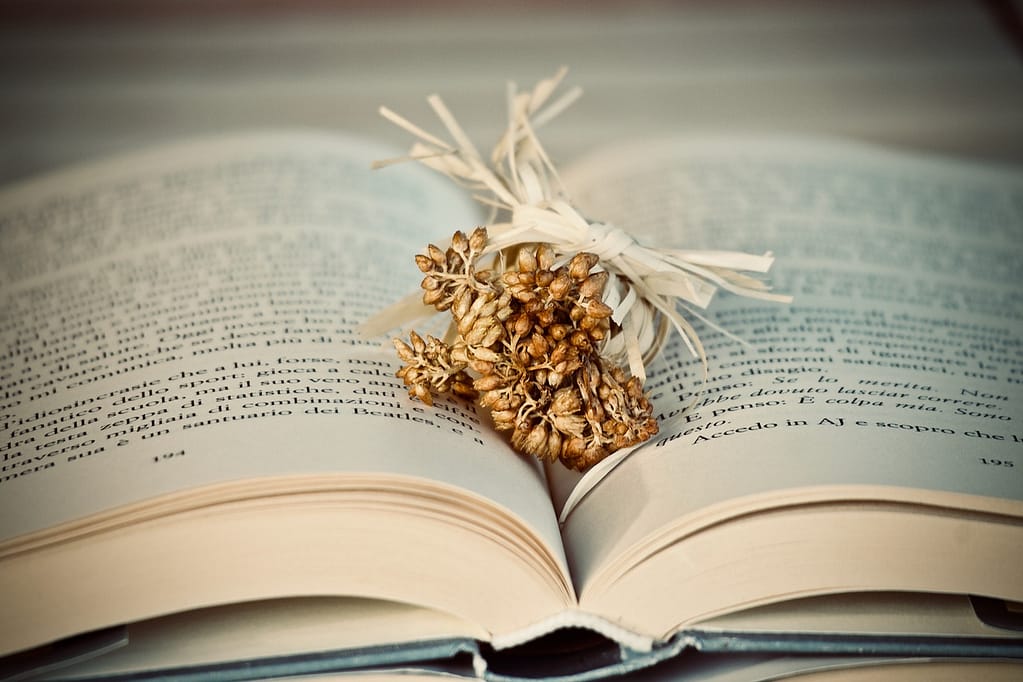 read best 7 books to change your year. book, flowers, dried flowers