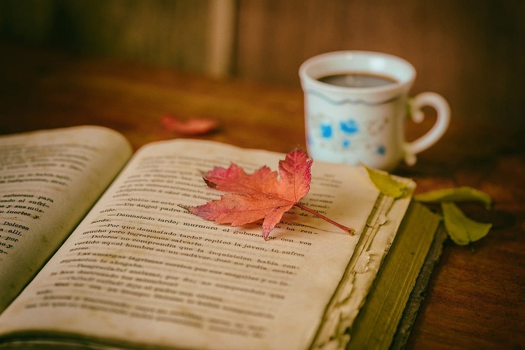 best 7 books to change your life. leaves, coffee, cup,
best reads