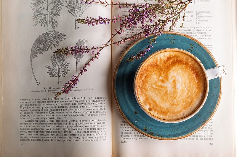 7 life changing books. coffee, cappuccino, café-2151200.jpg